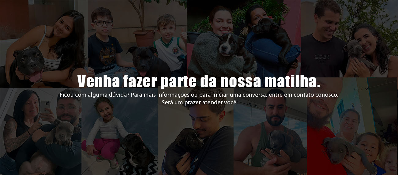 Entre em contato - Tractor Kennel